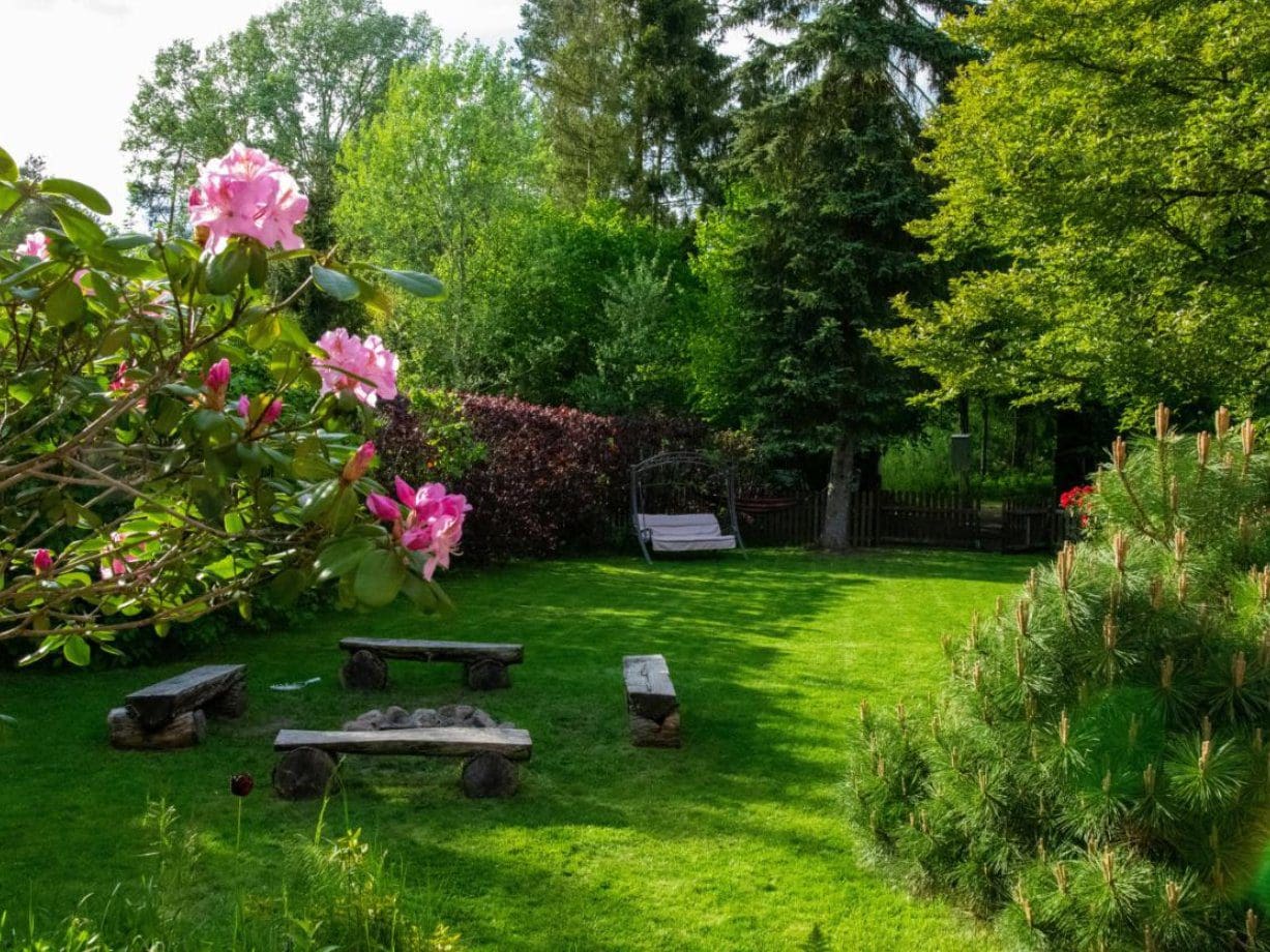 A park with benches and trees in the background.